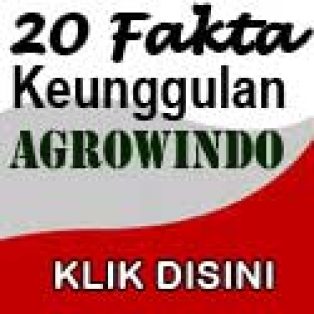 Inilah 20 Fakta Keunggulan Mesin Agrowindo