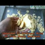 Mesin Pengiris Pisang Keripik Pisang