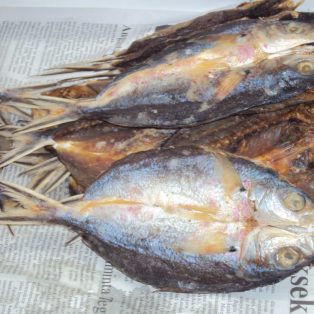 Peluang Usaha Ikan Kering Dan Analisa Usahanya