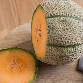 Peluang Usaha Budidaya Melon Quick Dan Analisa Usahanya