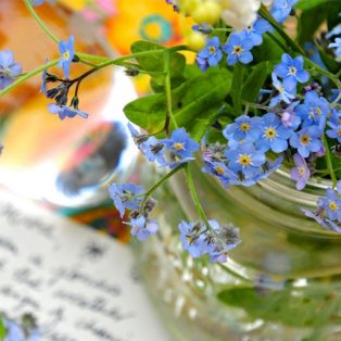 Peluang Usaha Budidaya Bunga Forget Me Not Dan Analisa Usahanya