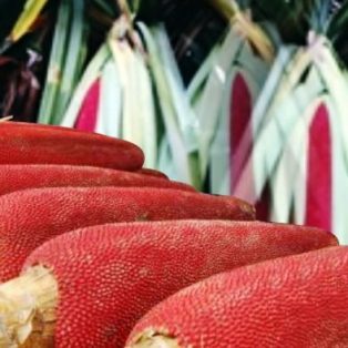 Peluang Usaha Budidaya Buah Merah Dan Analisa Usahanya