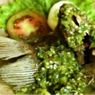 Peluang Usaha Ikan Gurame Cabe Hijau Dan Analisa Usahanya